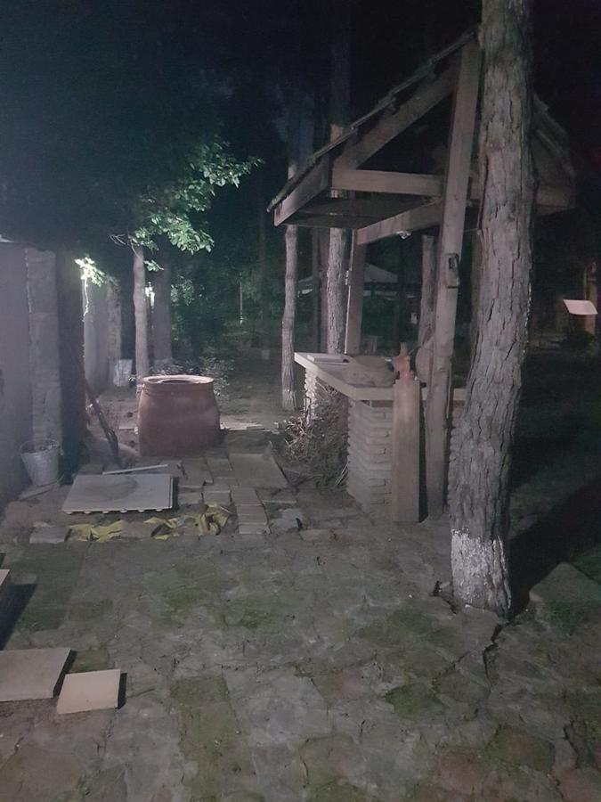 Vila Rare House With Garden Tbilisi Exteriér fotografie